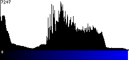 Blue Histogram