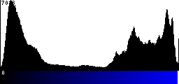 Blue Histogram