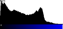 Blue Histogram