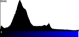 Blue Histogram