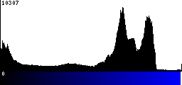 Blue Histogram