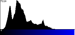 Blue Histogram