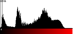 Red Histogram