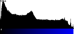 Blue Histogram