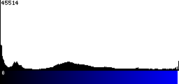 Blue Histogram