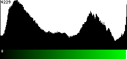 Green Histogram