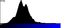 Blue Histogram