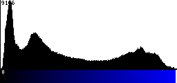 Blue Histogram