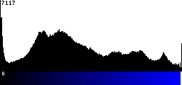 Blue Histogram