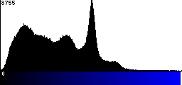 Blue Histogram