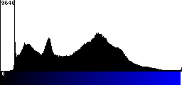 Blue Histogram