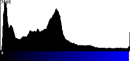 Blue Histogram