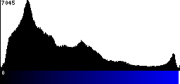 Blue Histogram