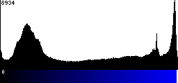 Blue Histogram
