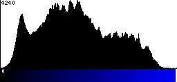 Blue Histogram