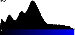 Blue Histogram