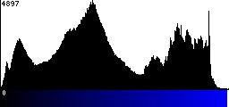 Blue Histogram