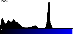 Blue Histogram