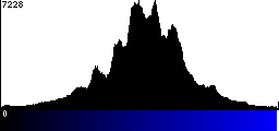 Blue Histogram