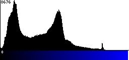 Blue Histogram