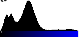 Blue Histogram
