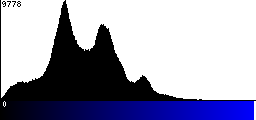 Blue Histogram