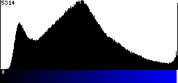 Blue Histogram