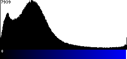 Blue Histogram