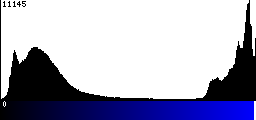 Blue Histogram