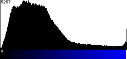 Blue Histogram