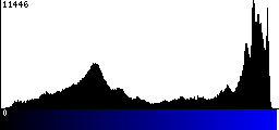 Blue Histogram