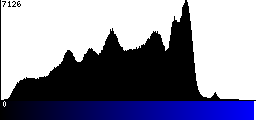 Blue Histogram