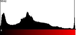 Red Histogram