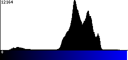 Blue Histogram