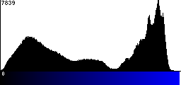 Blue Histogram