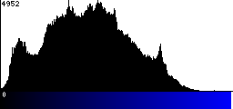 Blue Histogram