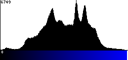 Blue Histogram