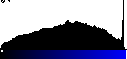 Blue Histogram