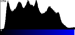 Blue Histogram