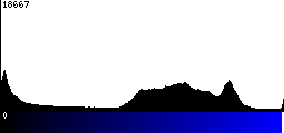 Blue Histogram