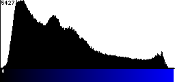 Blue Histogram
