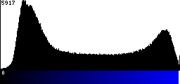 Blue Histogram