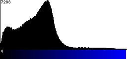 Blue Histogram