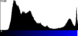 Blue Histogram