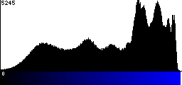 Blue Histogram