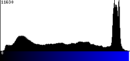 Blue Histogram