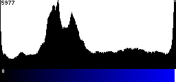 Blue Histogram