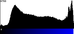 Blue Histogram