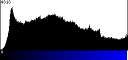 Blue Histogram
