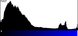 Blue Histogram